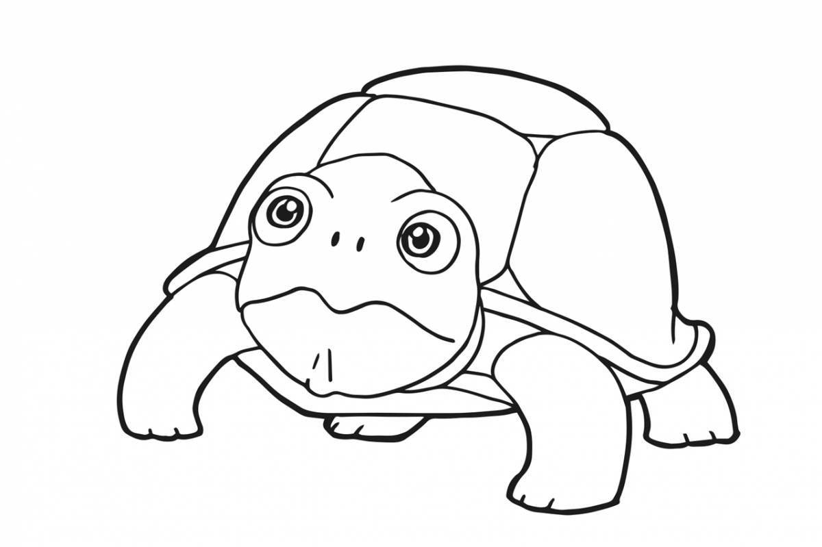 Playful cute turtle coloring book