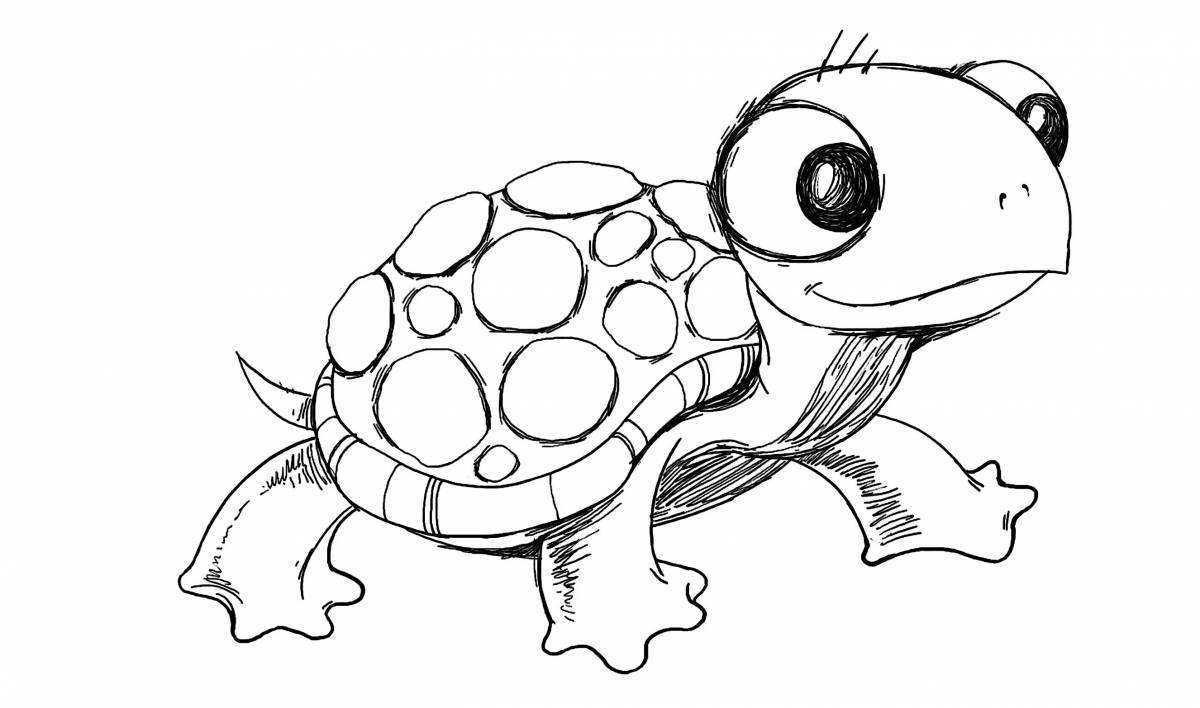 Fun cute turtle coloring book