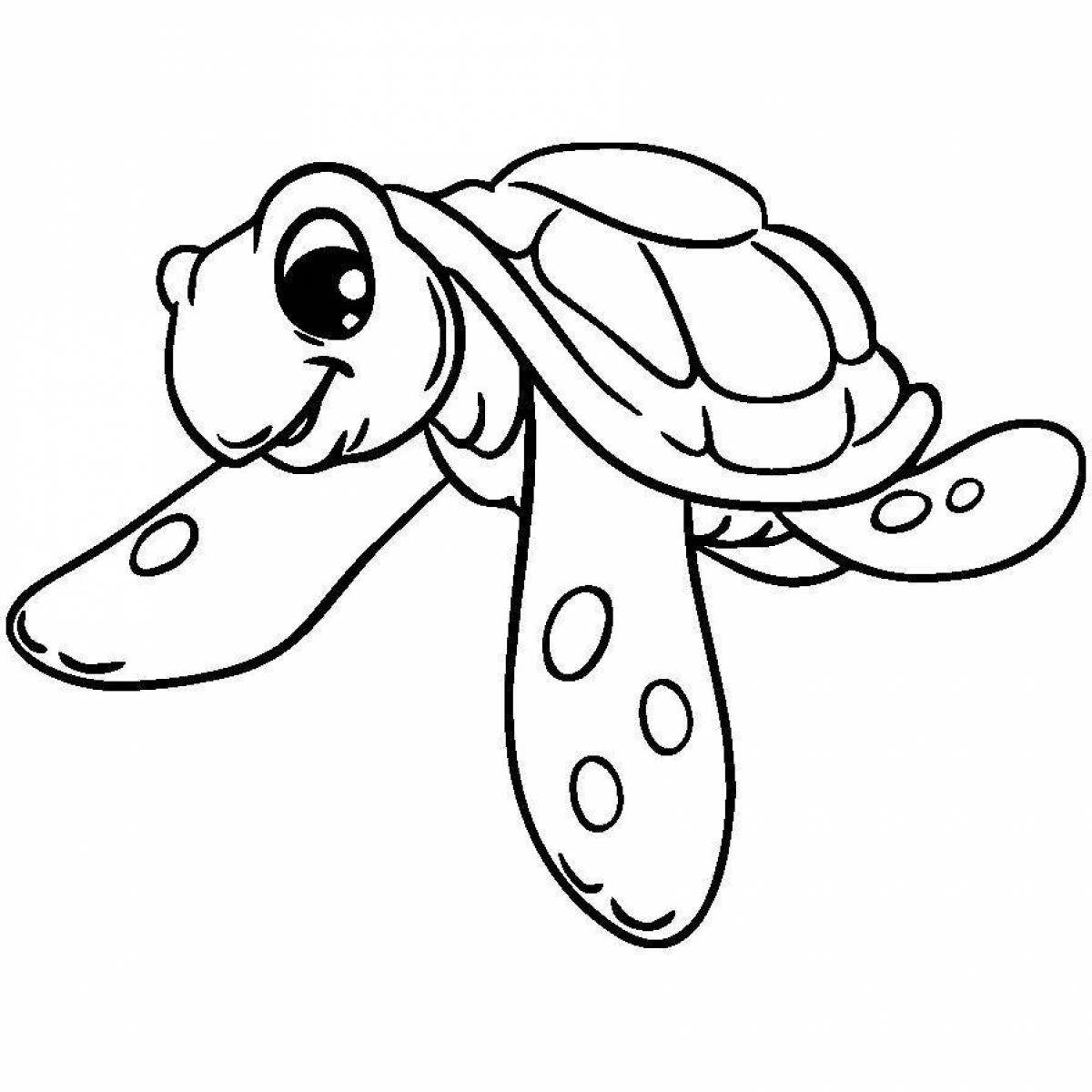Colorful cute turtle coloring book
