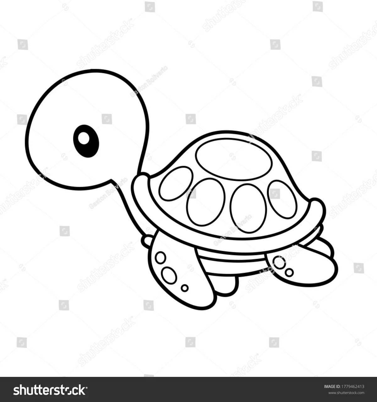 Cute cute turtle coloring book