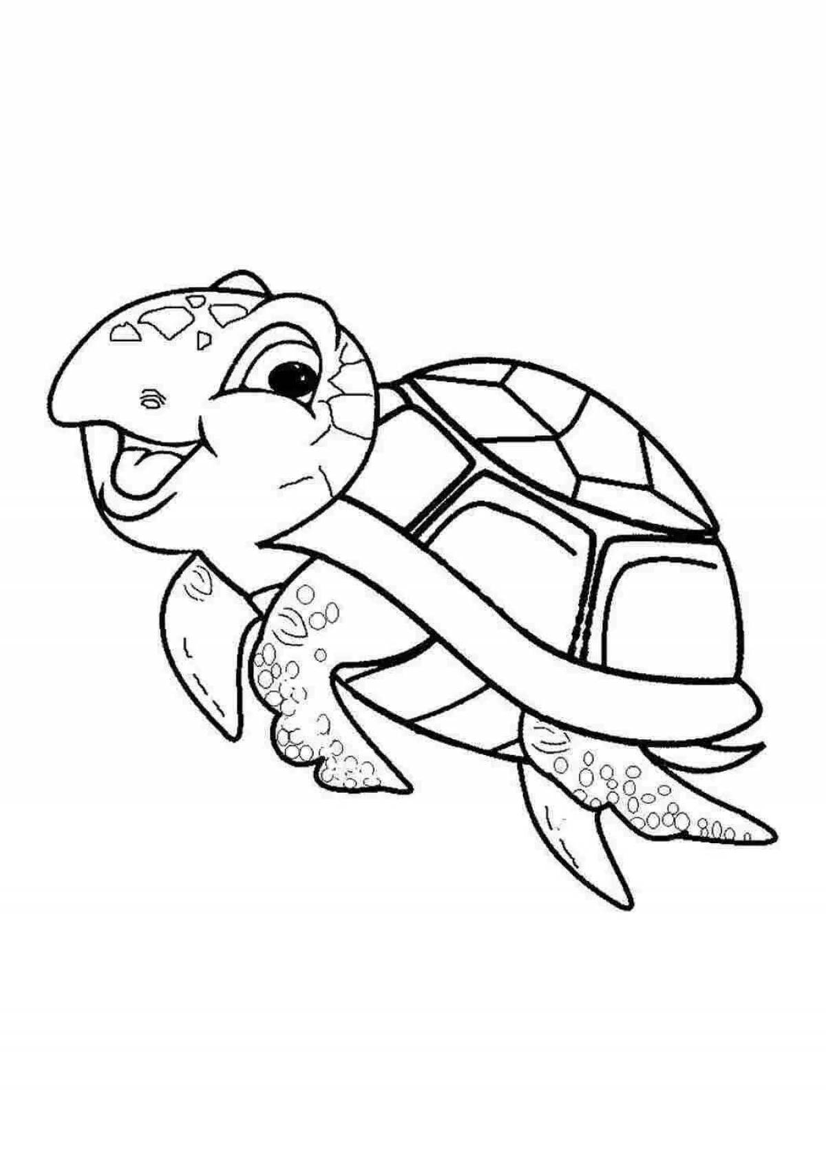 Colouring sunny cute turtle