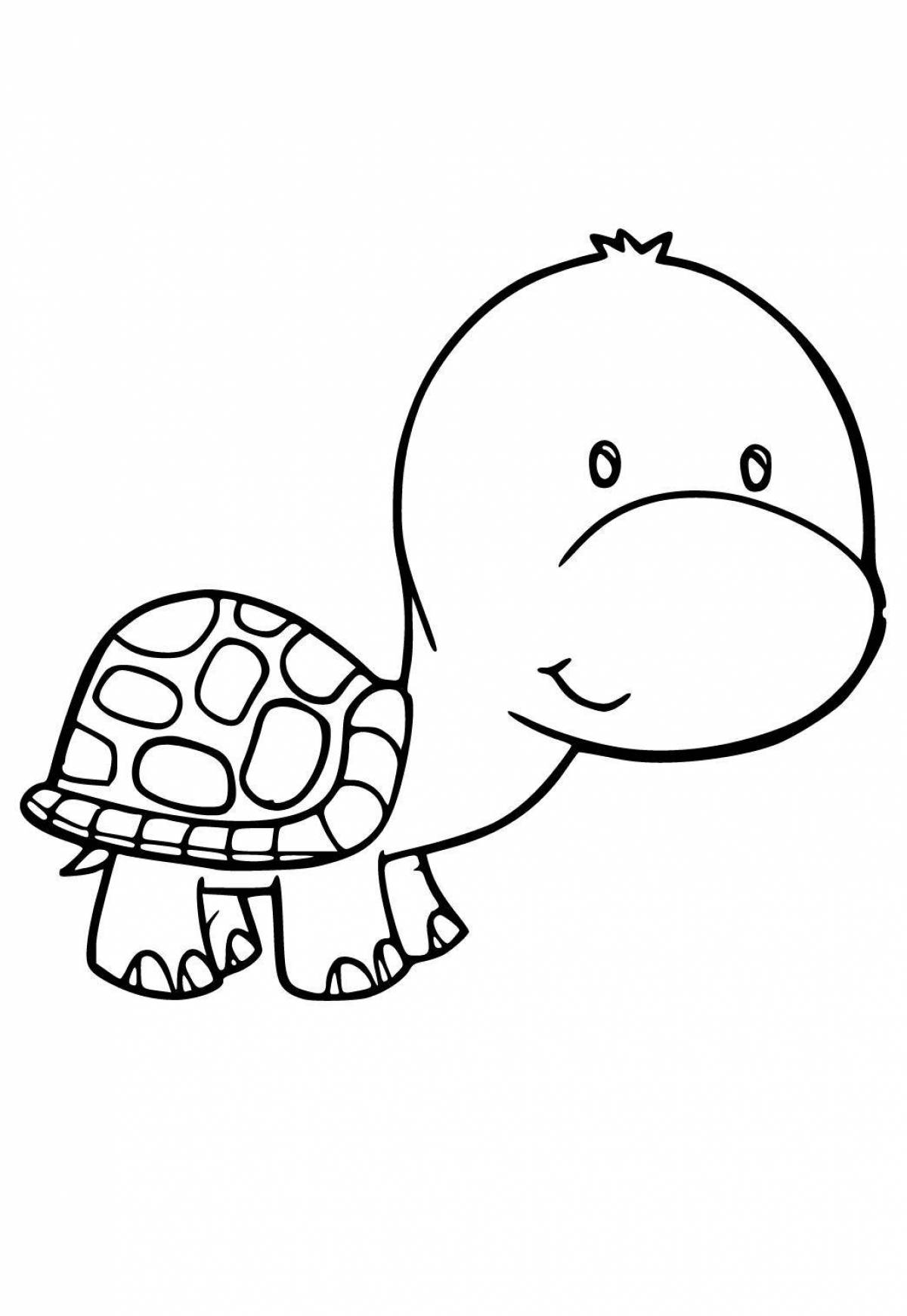 Nice cute turtle coloring book