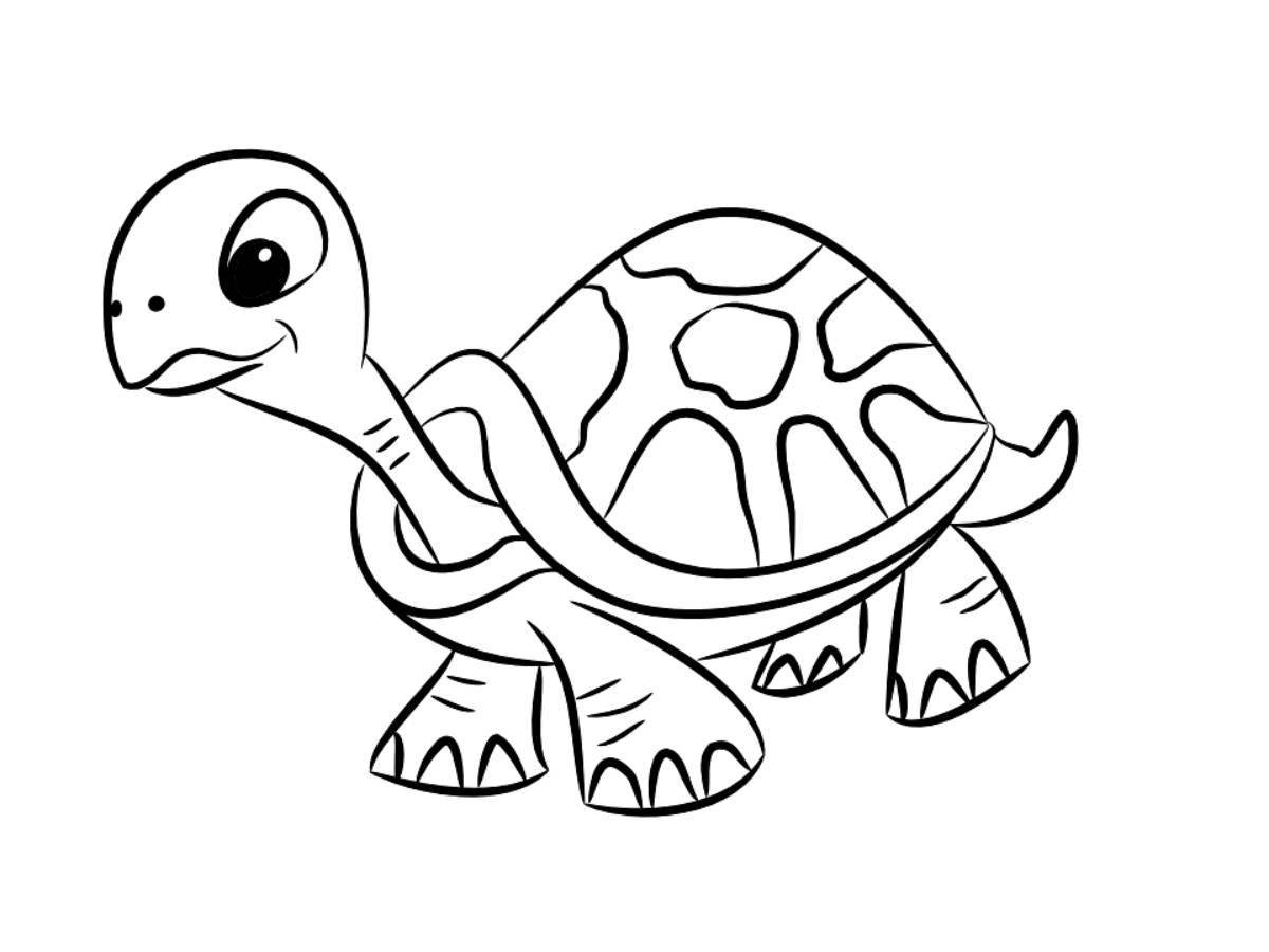 Magic cute turtle coloring book