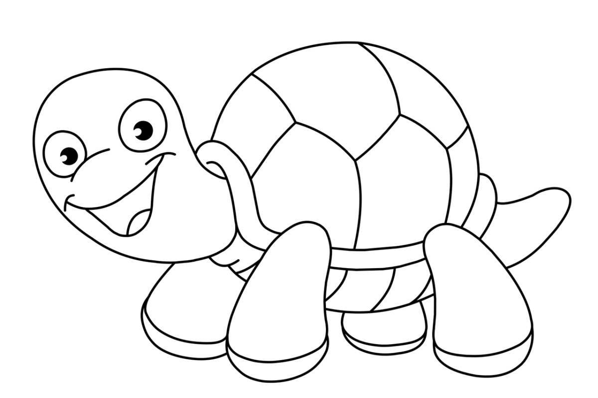 Gorgeous cute turtle coloring book