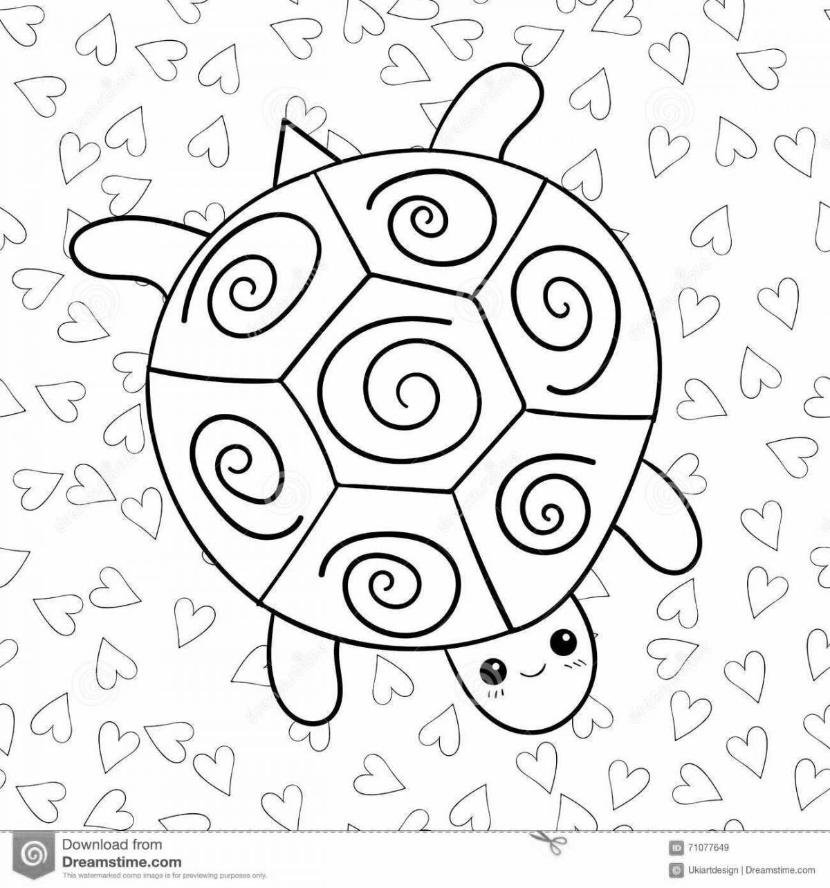 Exquisite cute turtle coloring book
