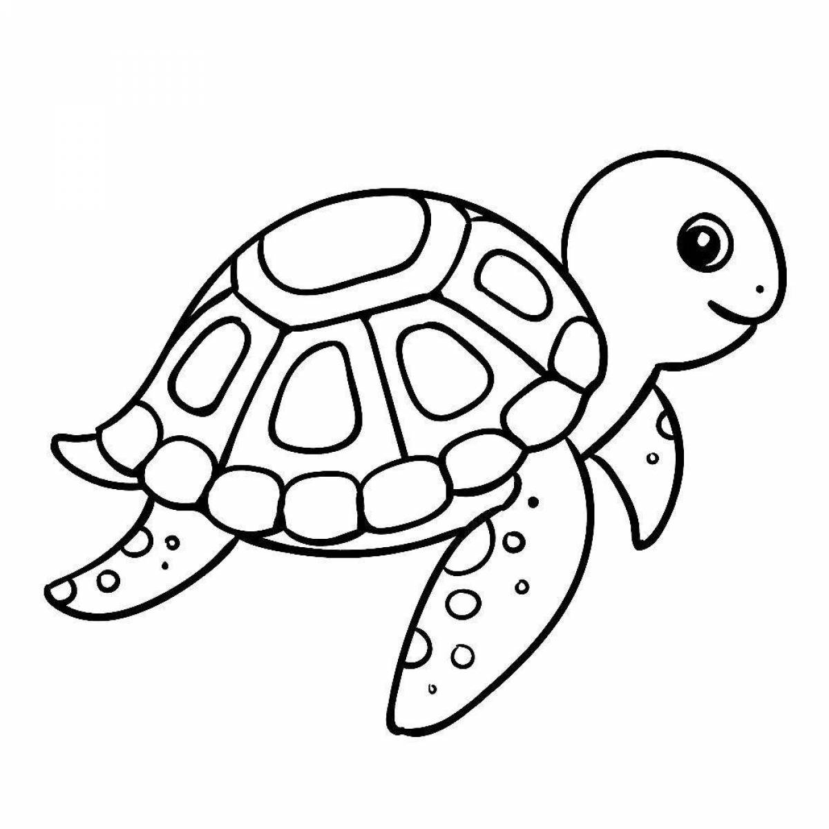 Cute turtle #1