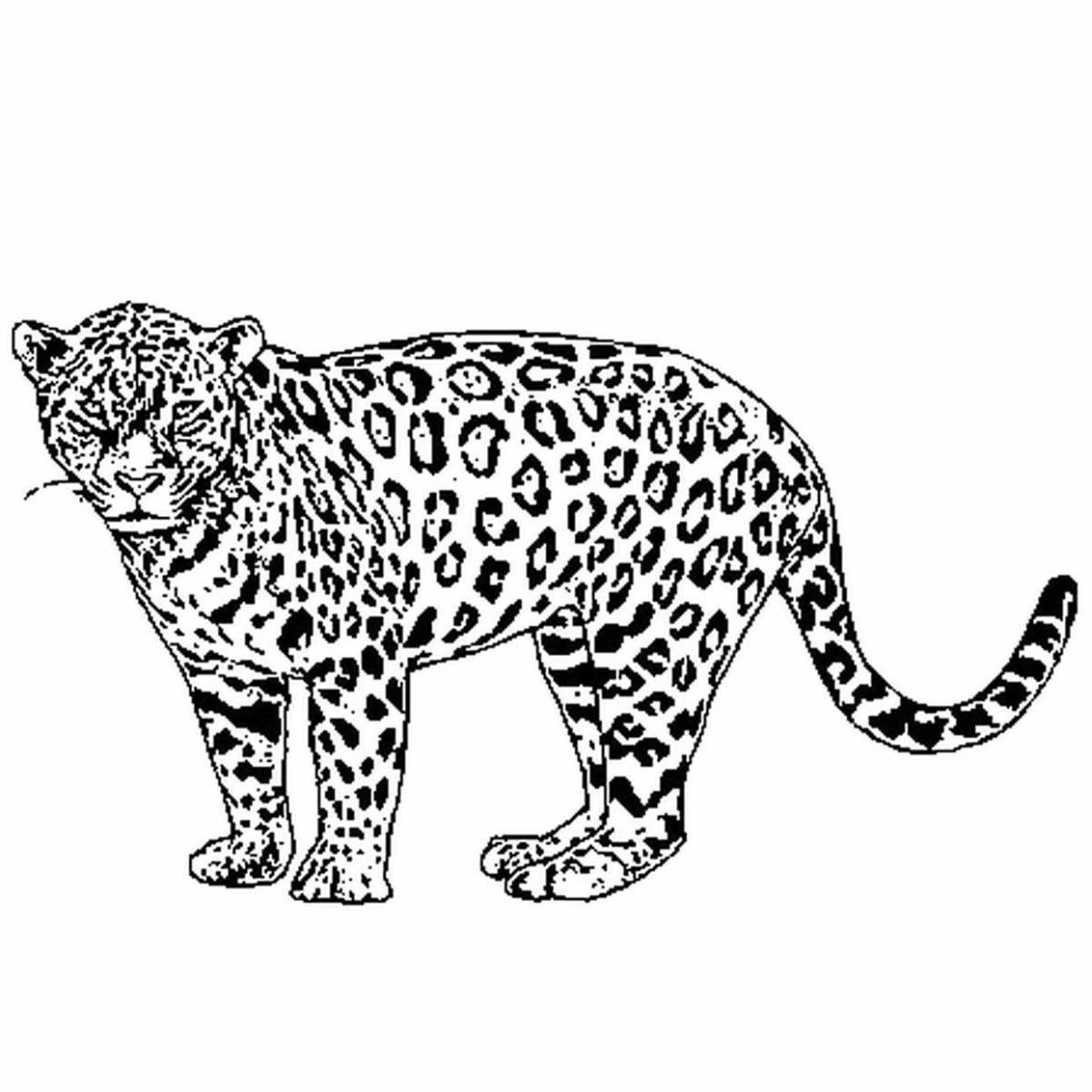 Photo Majestic clouded leopard coloring page
