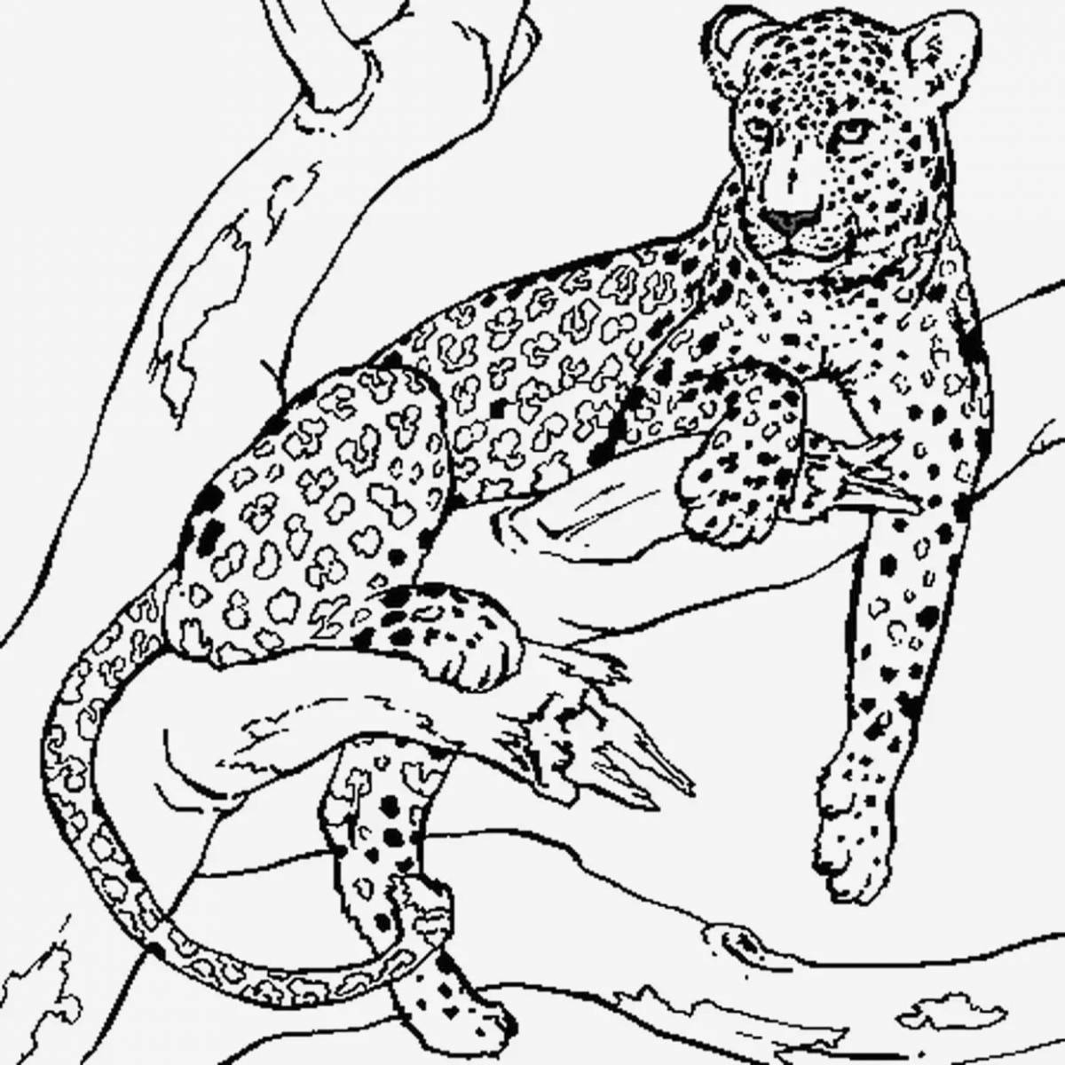 Coloring book bright clouded leopard