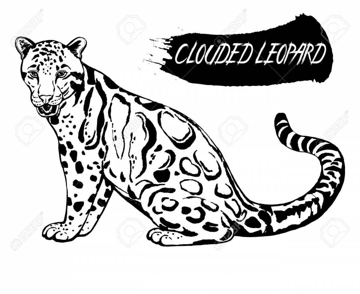 Exotic clouded leopard coloring page