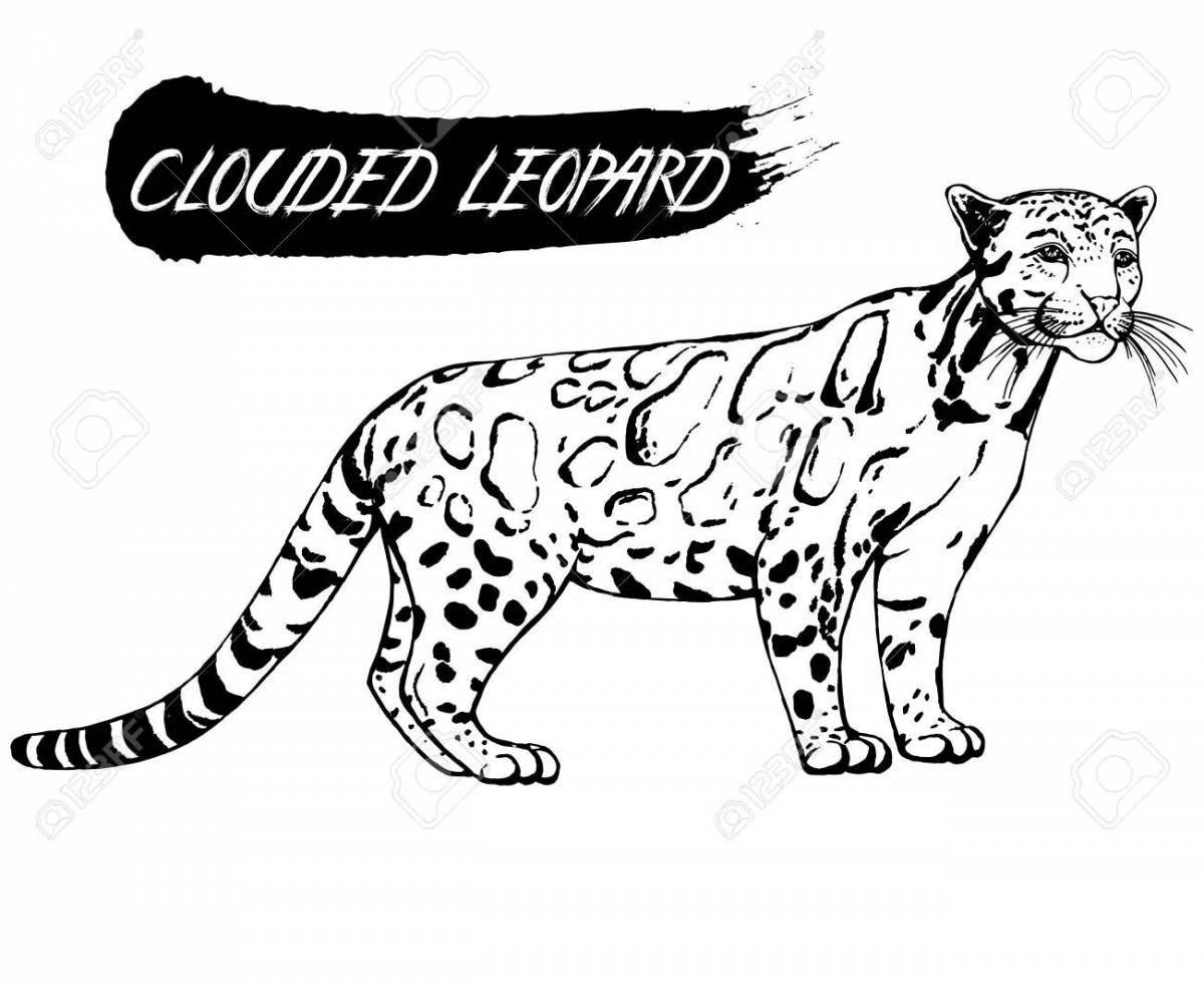 Adorable clouded leopard coloring book