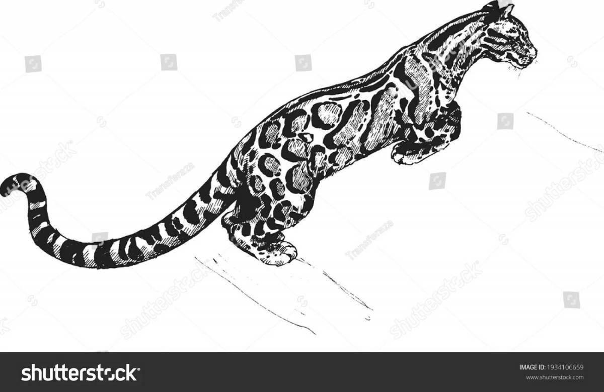 Dazzling clouded leopard coloring page