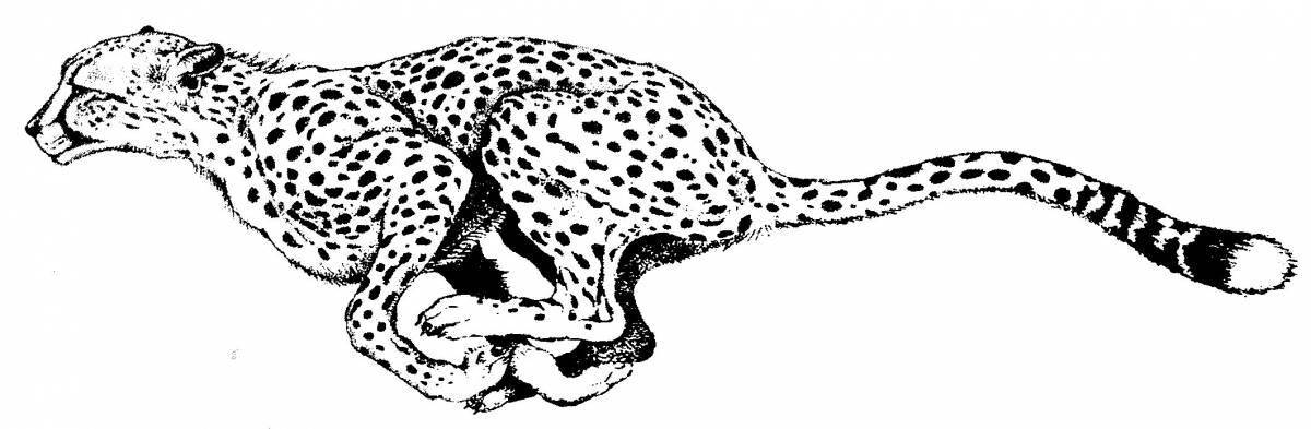 Завораживающая раскраска дымчатого леопарда