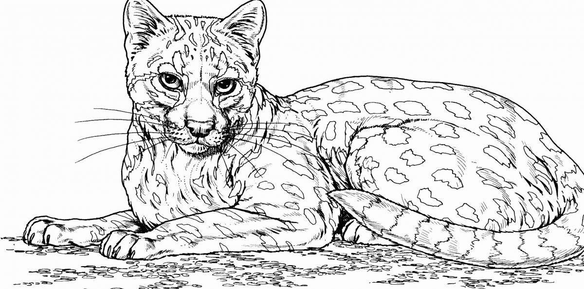 Coloring book gorgeous clouded leopard