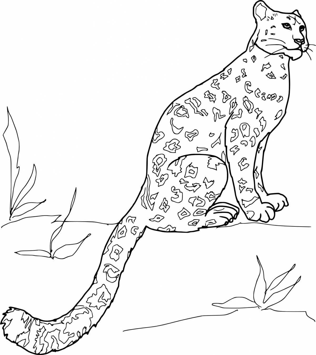 Coloring book beautiful clouded leopard
