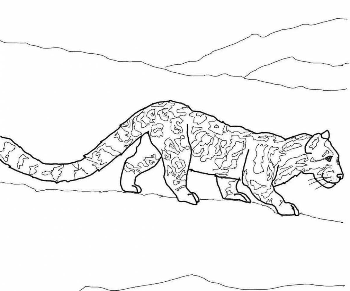 Photo Adorable clouded leopard coloring page