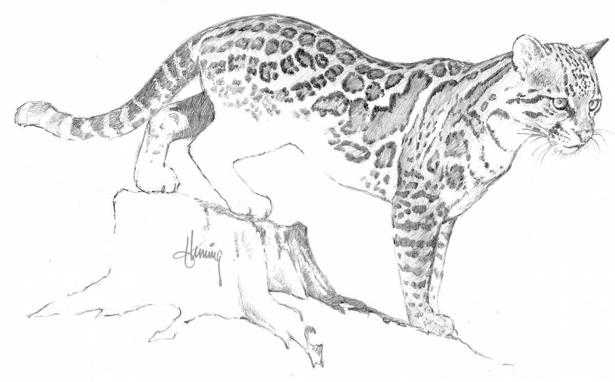 Впечатляющая страница раскраски дымчатого леопарда