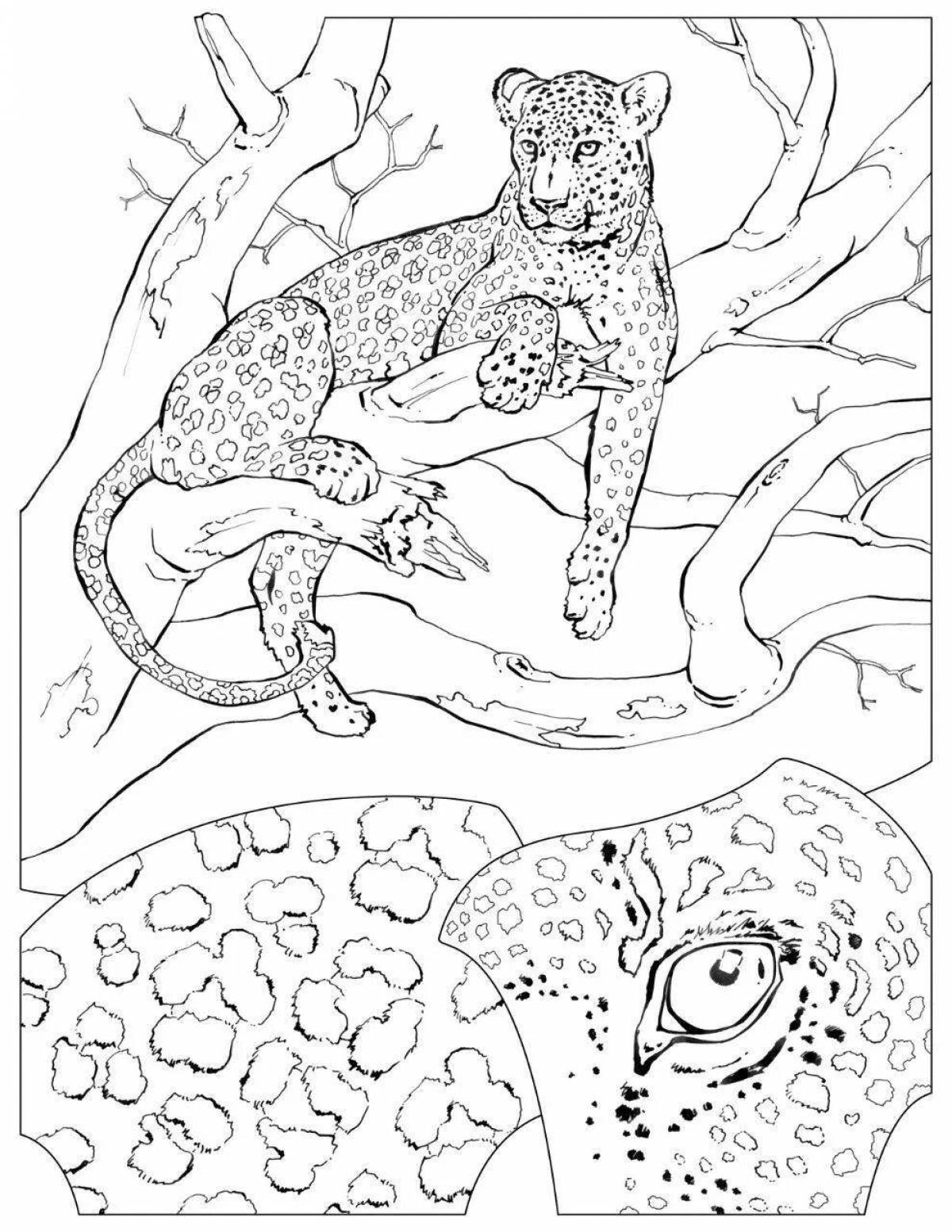 Удивительная страница раскраски дымчатого леопарда