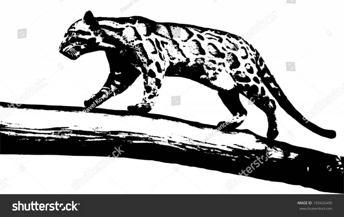 Изысканная раскраска дымчатого леопарда