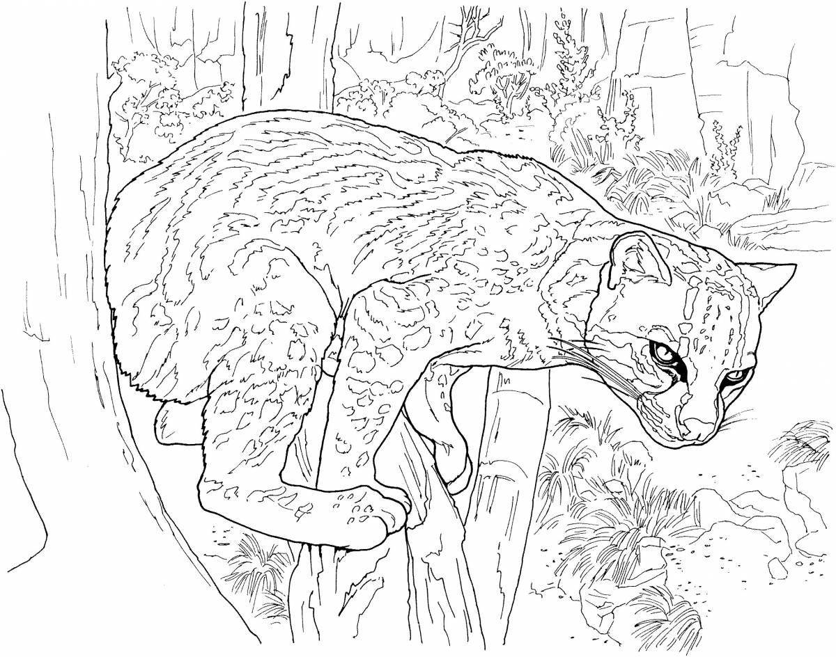 Regal clouded leopard coloring page