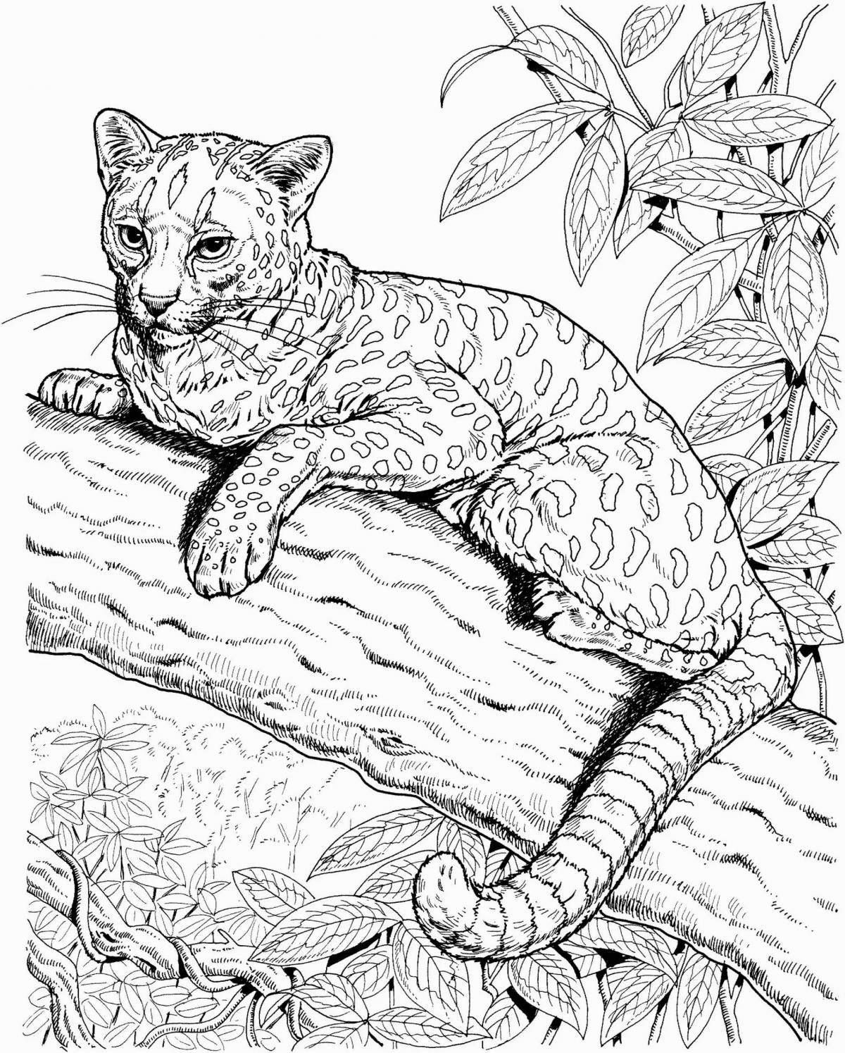 Блестящий дымчатый леопард раскраска страница