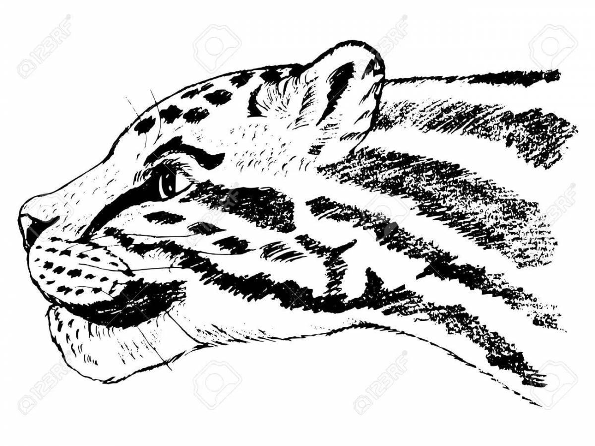 Photo Glowing clouded leopard coloring page
