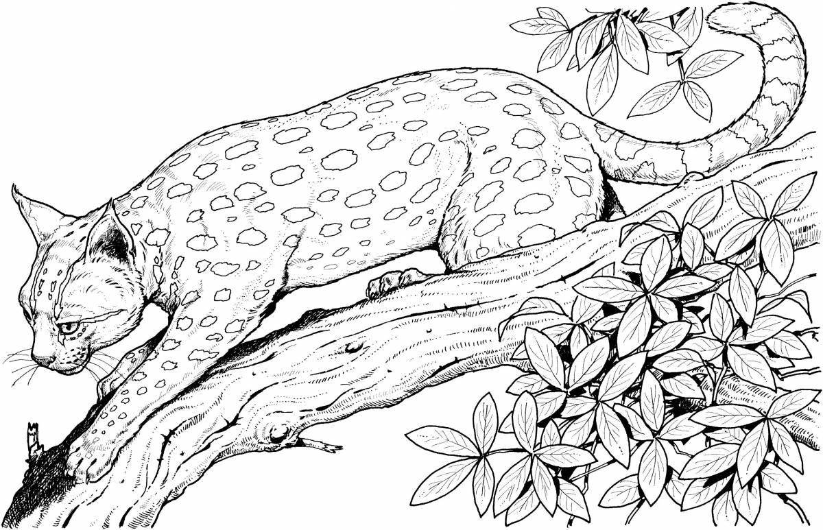 Photo Cute clouded leopard coloring page