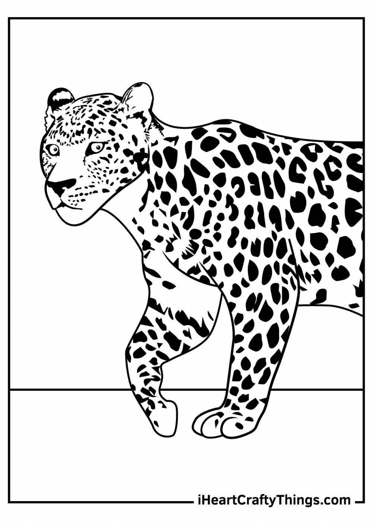 Coloring book playful clouded leopard