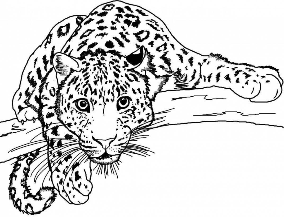 Colorful clouded leopard coloring page