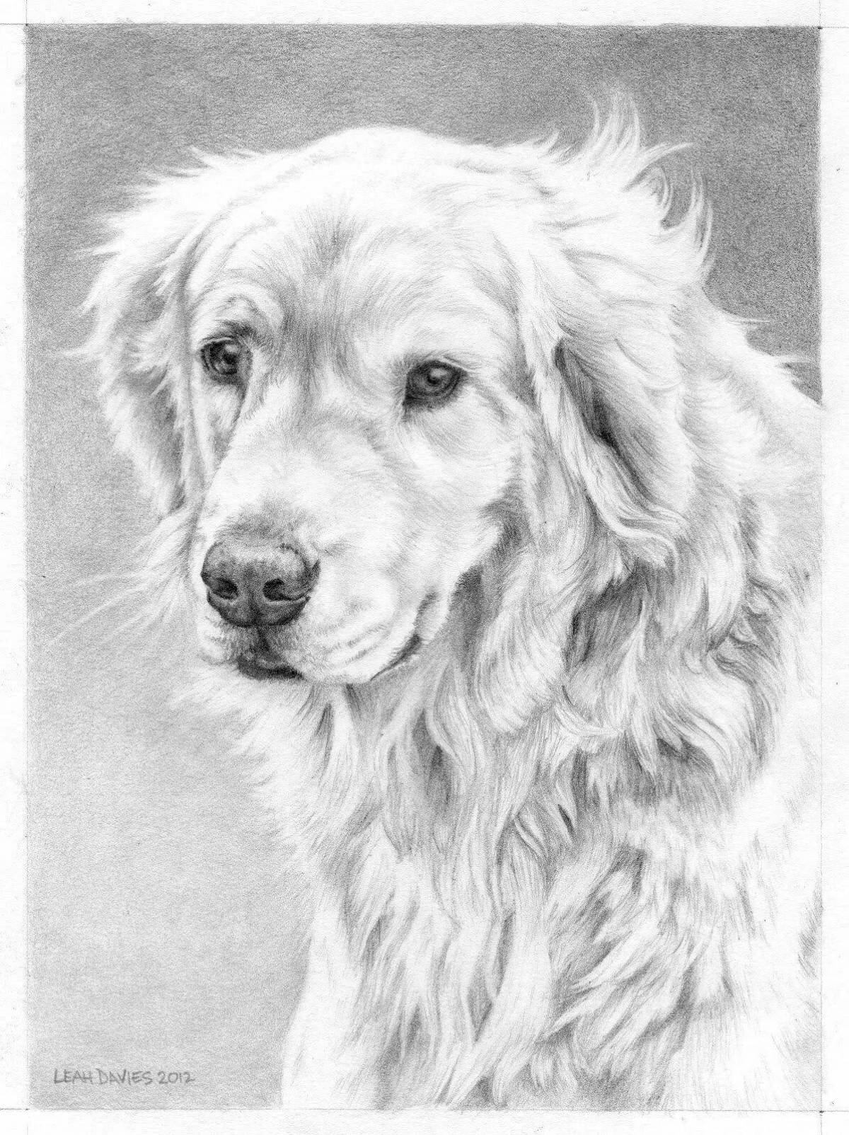 Coloring page loving golden retriever