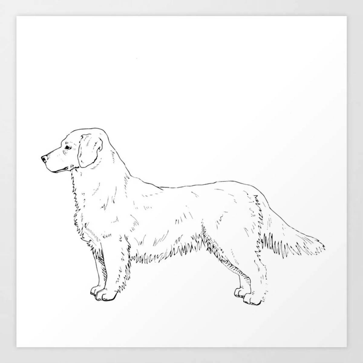 Cute golden retriever coloring page