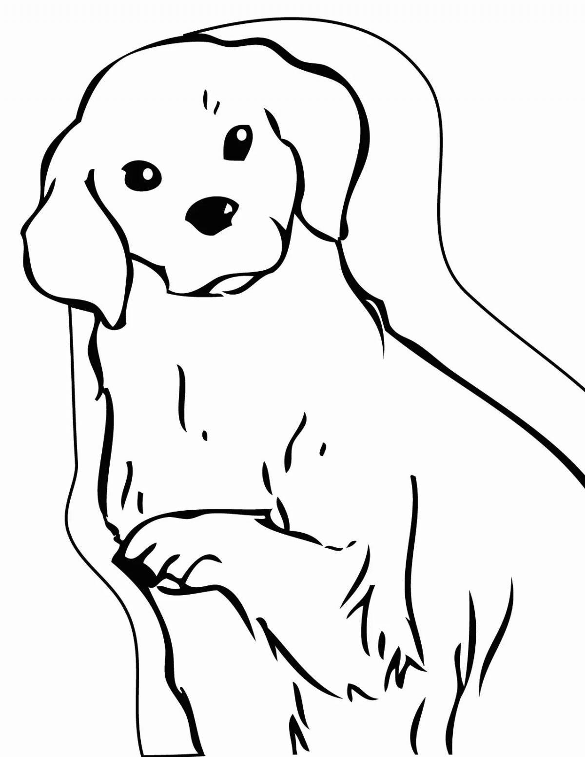 Coloring page friendly golden retriever