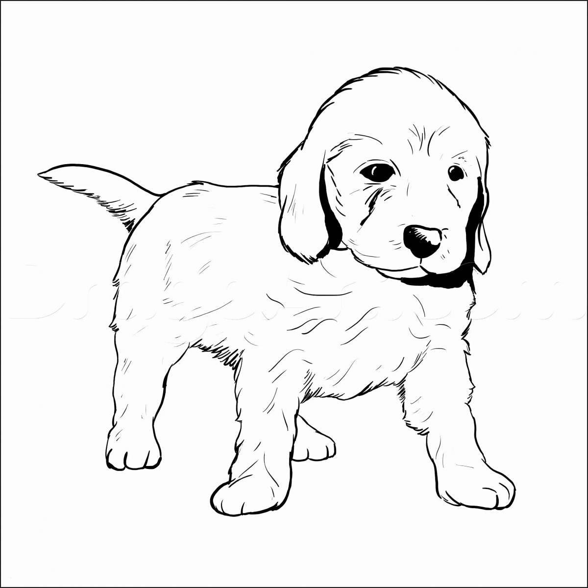 Colorful golden retriever coloring page