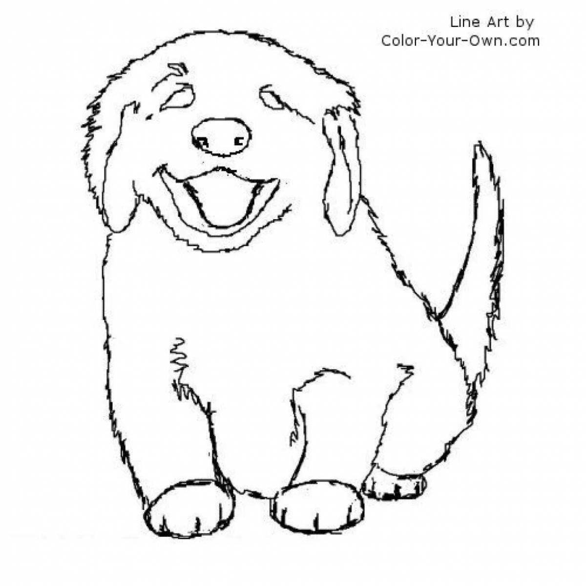 Coloring page energetic golden retriever