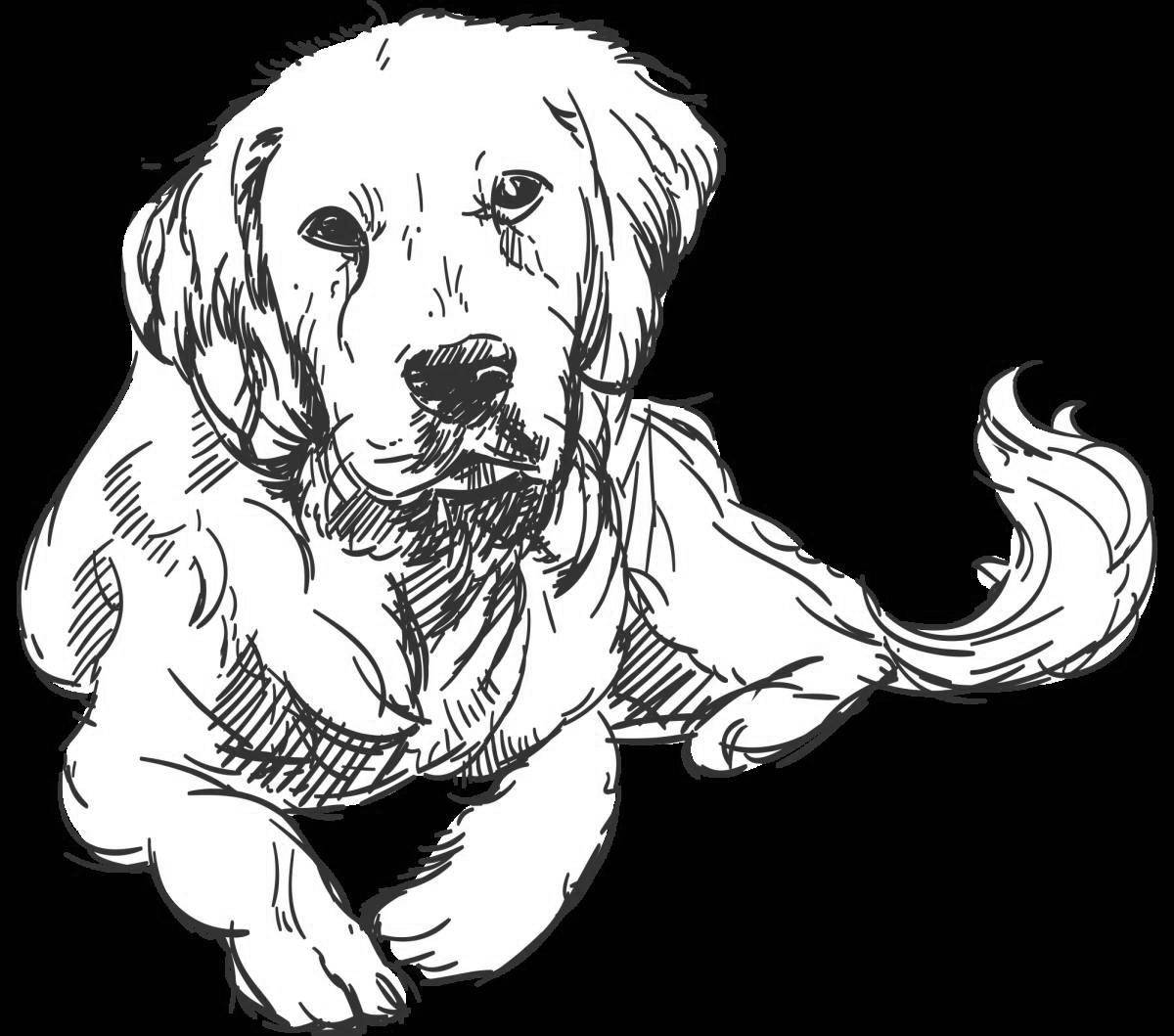 Coloring page cute golden retriever