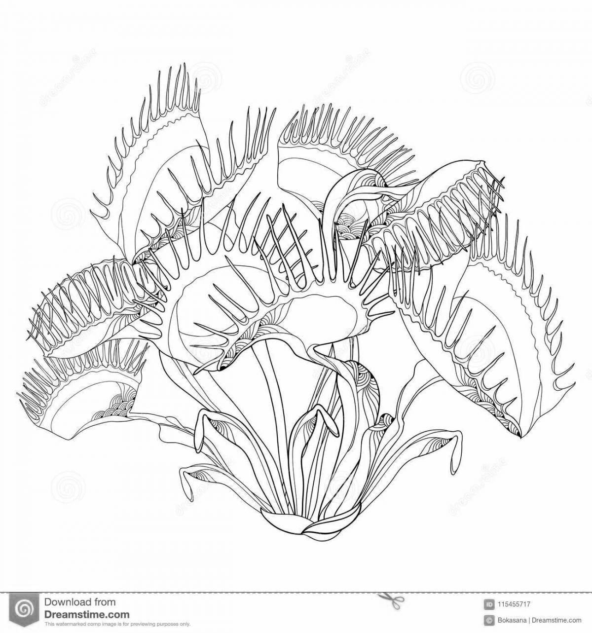 Adorable carnivorous plants coloring page