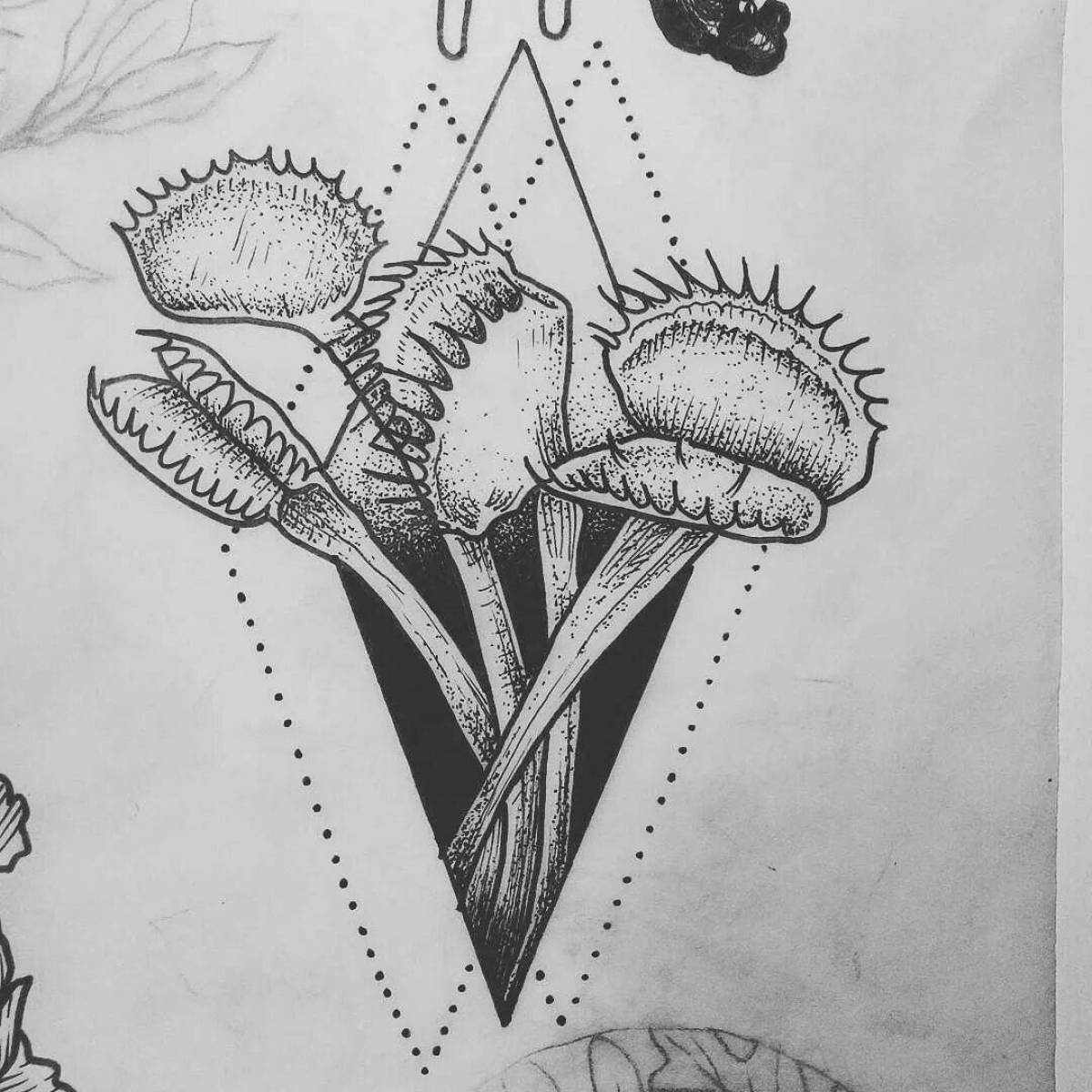 Coloring page dazzling carnivorous plants