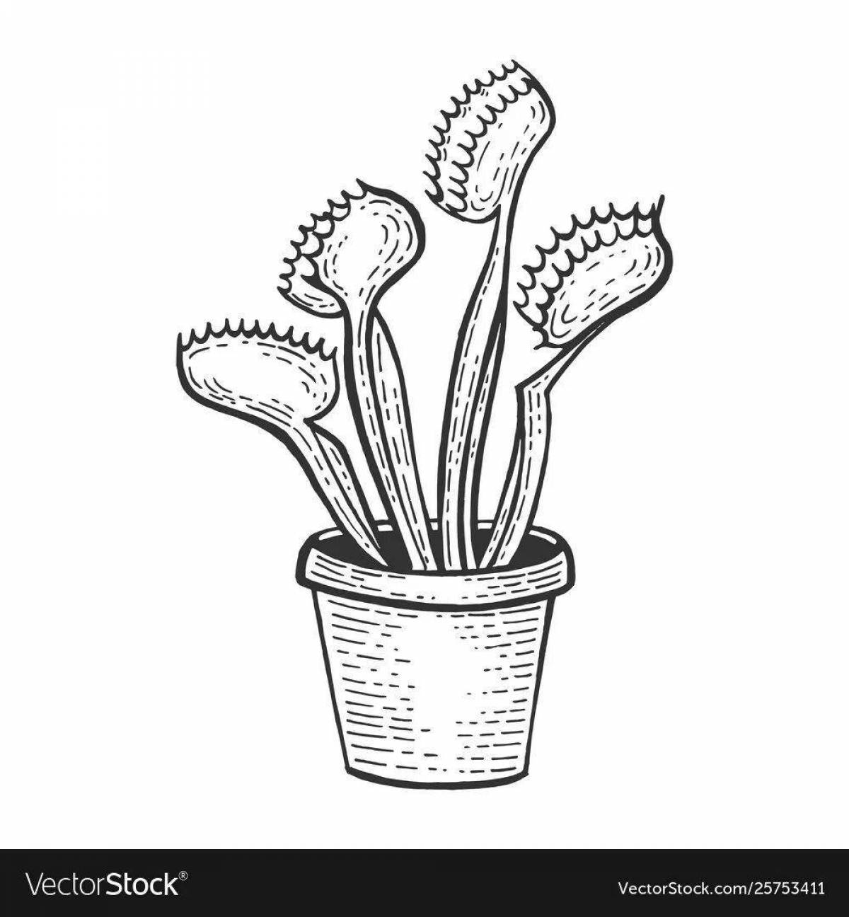 Awesome carnivorous plants coloring page