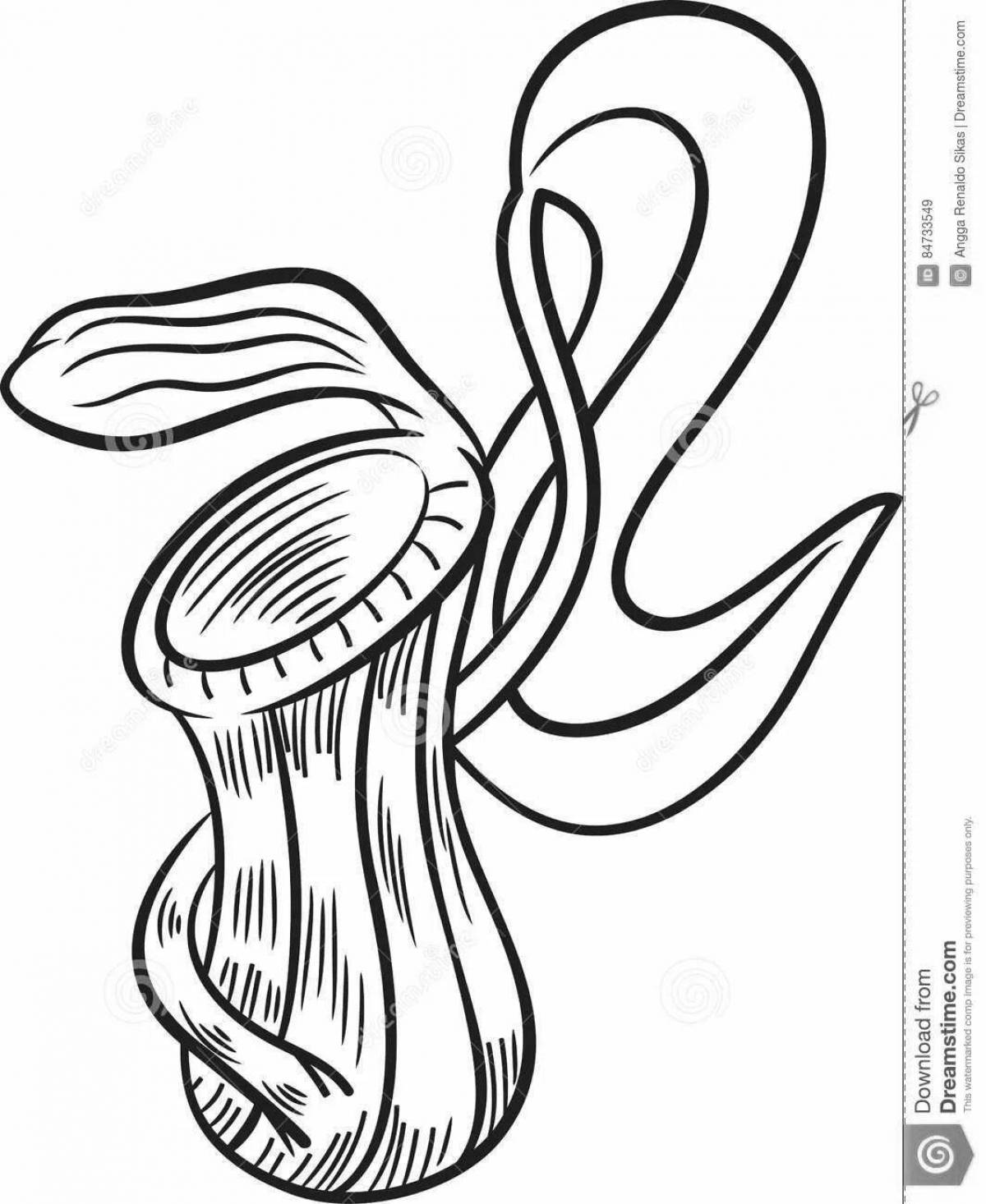 Coloring page amazing carnivorous plants