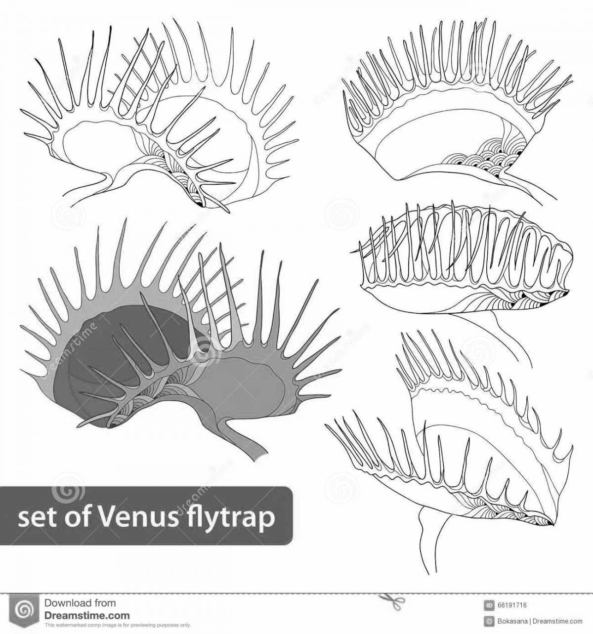 Coloring page incredible carnivorous plants