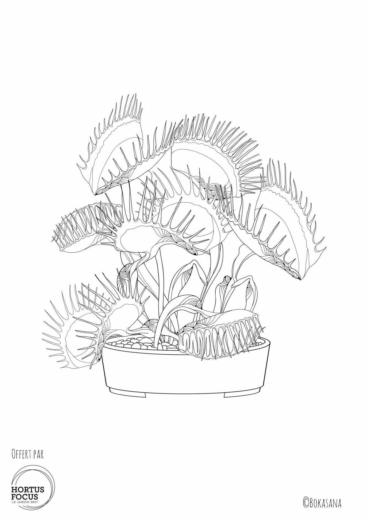 Coloring book prominent carnivorous plants