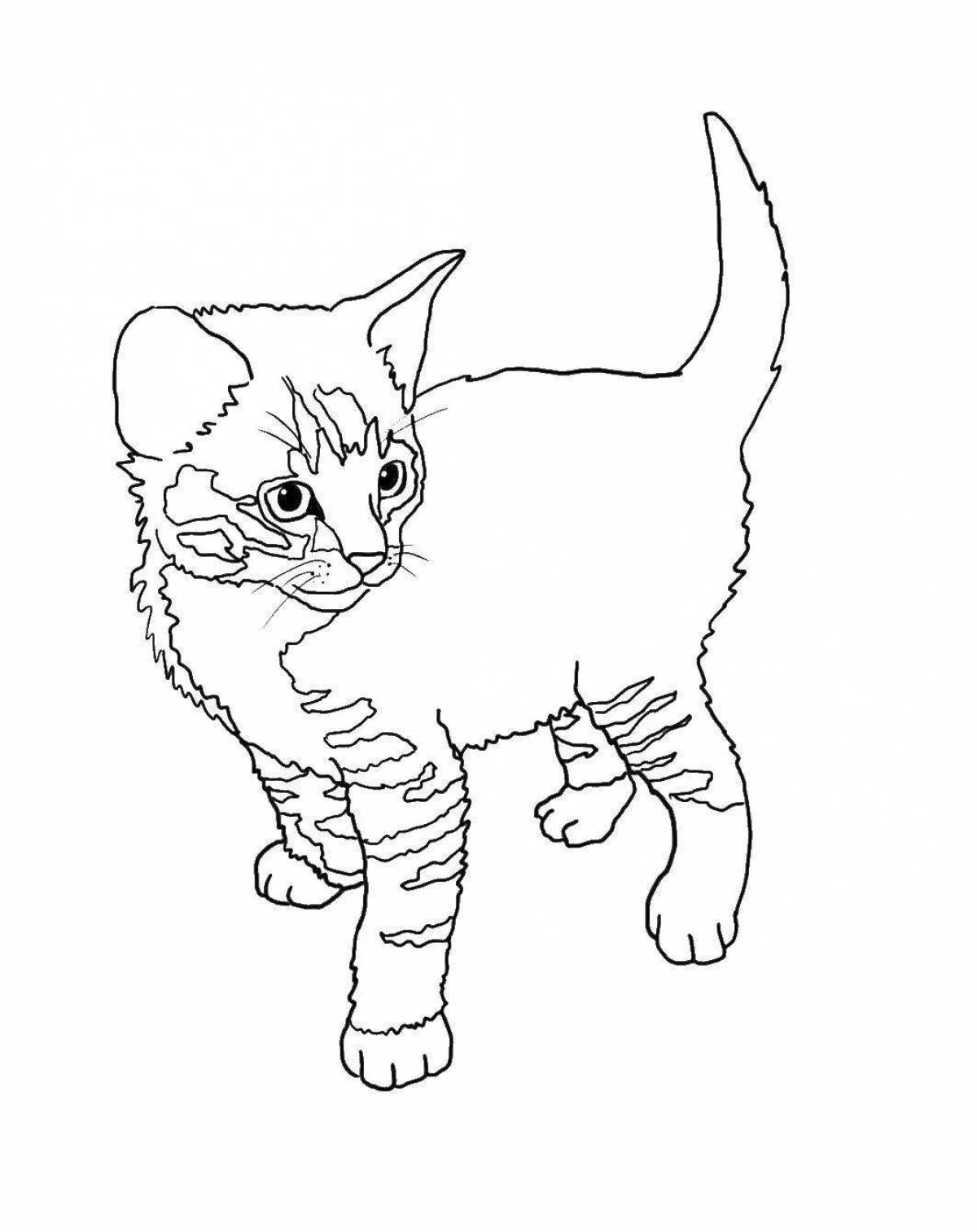 Coloring fluffy cat