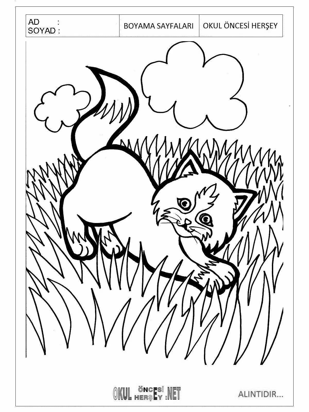 Charming fat kitten coloring book