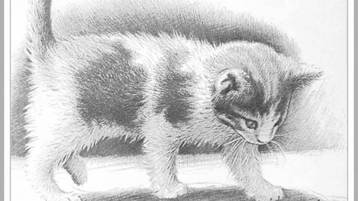 Мягкая раскраска котенок жирный