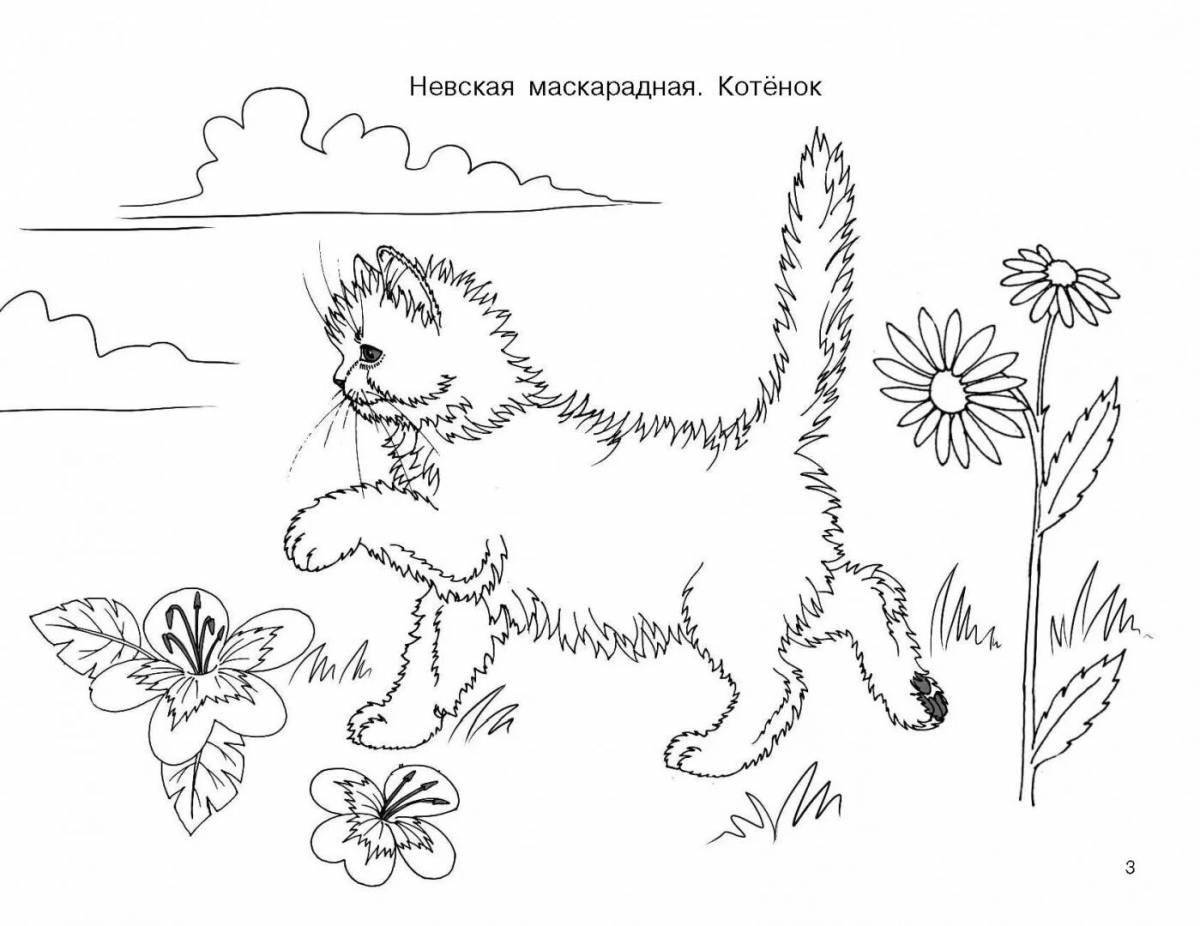 Compressible kitten fat coloring page