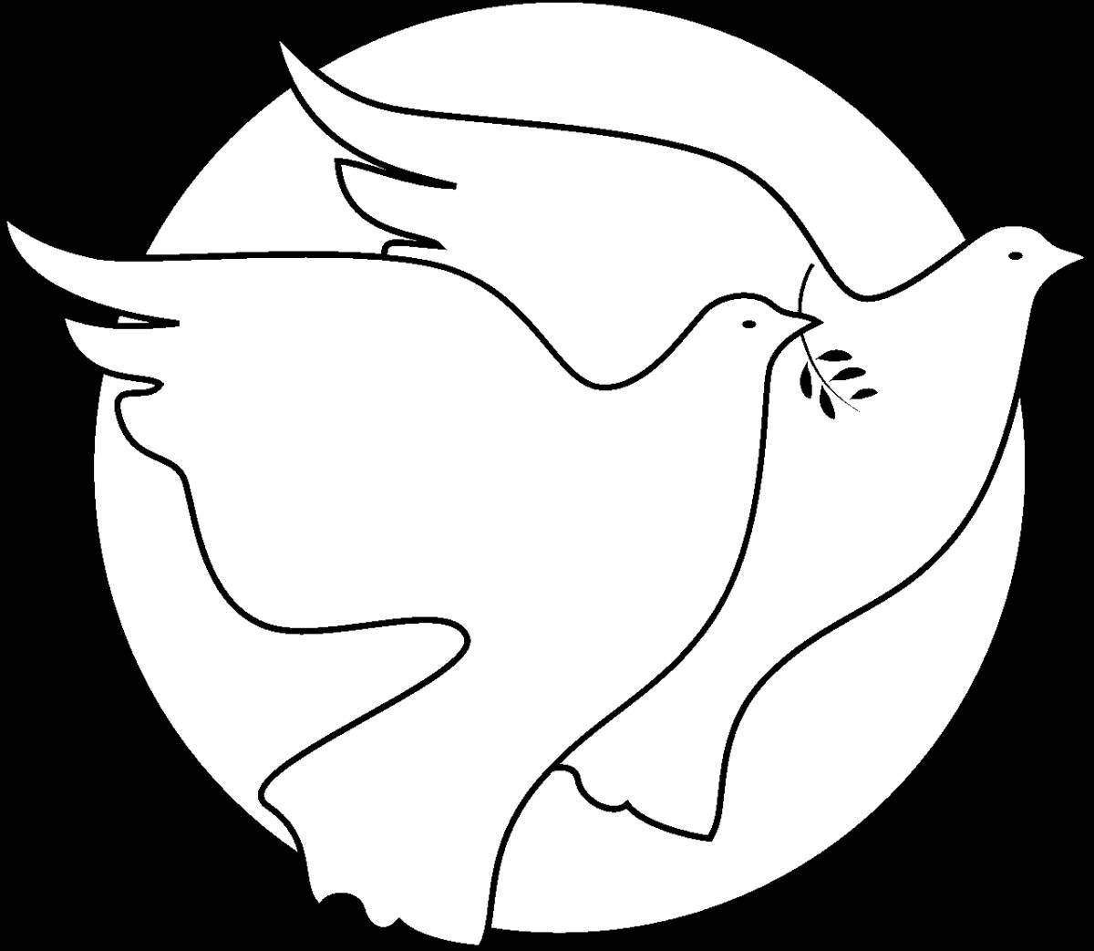 Colouring peaceful white dove
