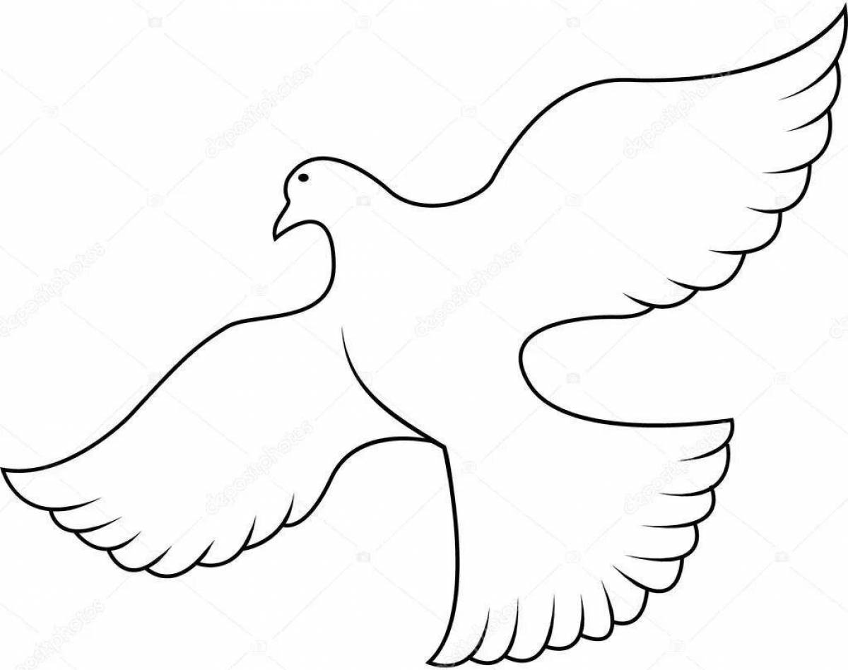 Coloring book shining white dove