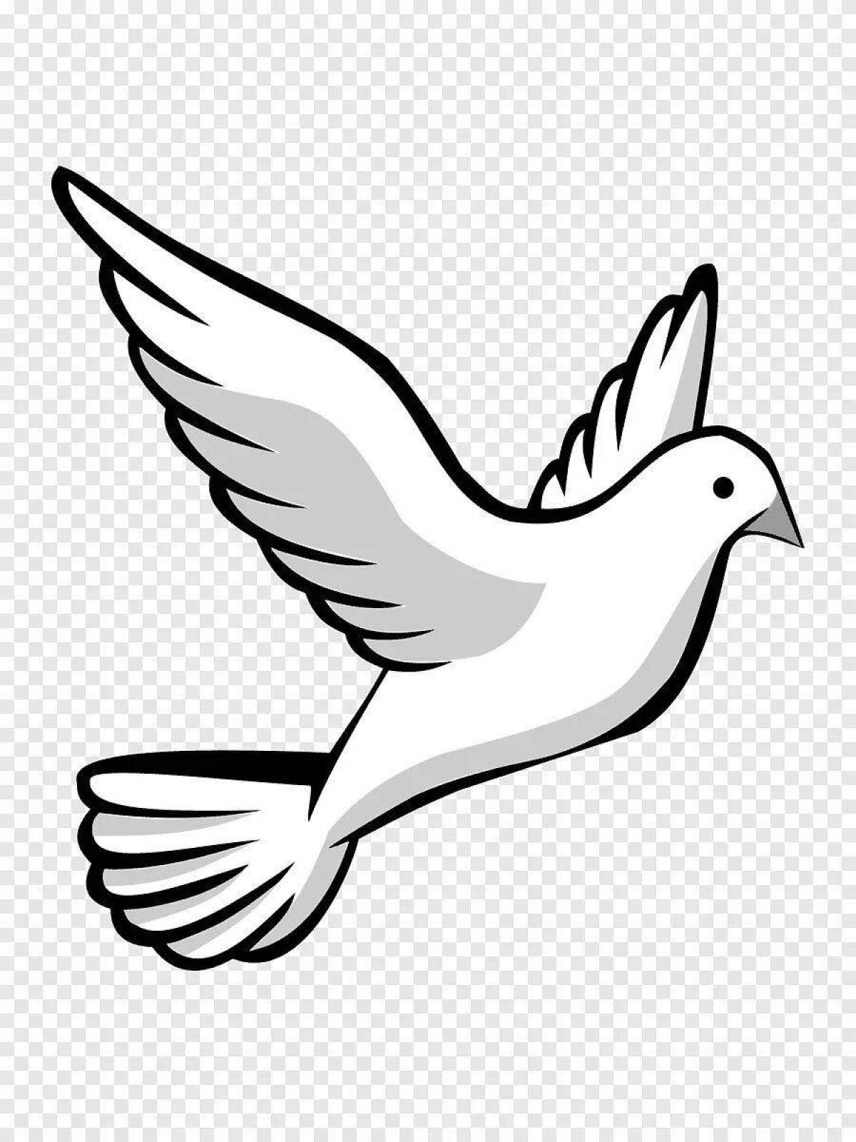 Glorious white dove coloring book