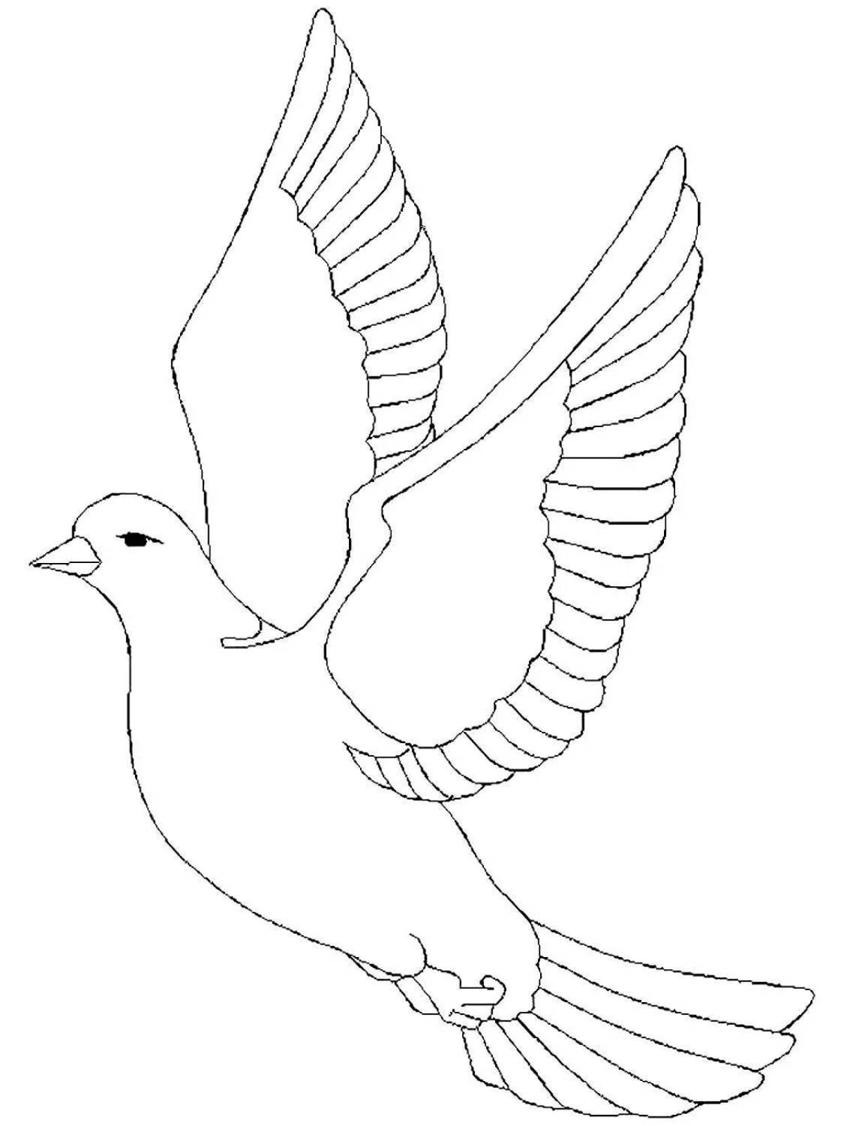 Coloring book gorgeous white dove