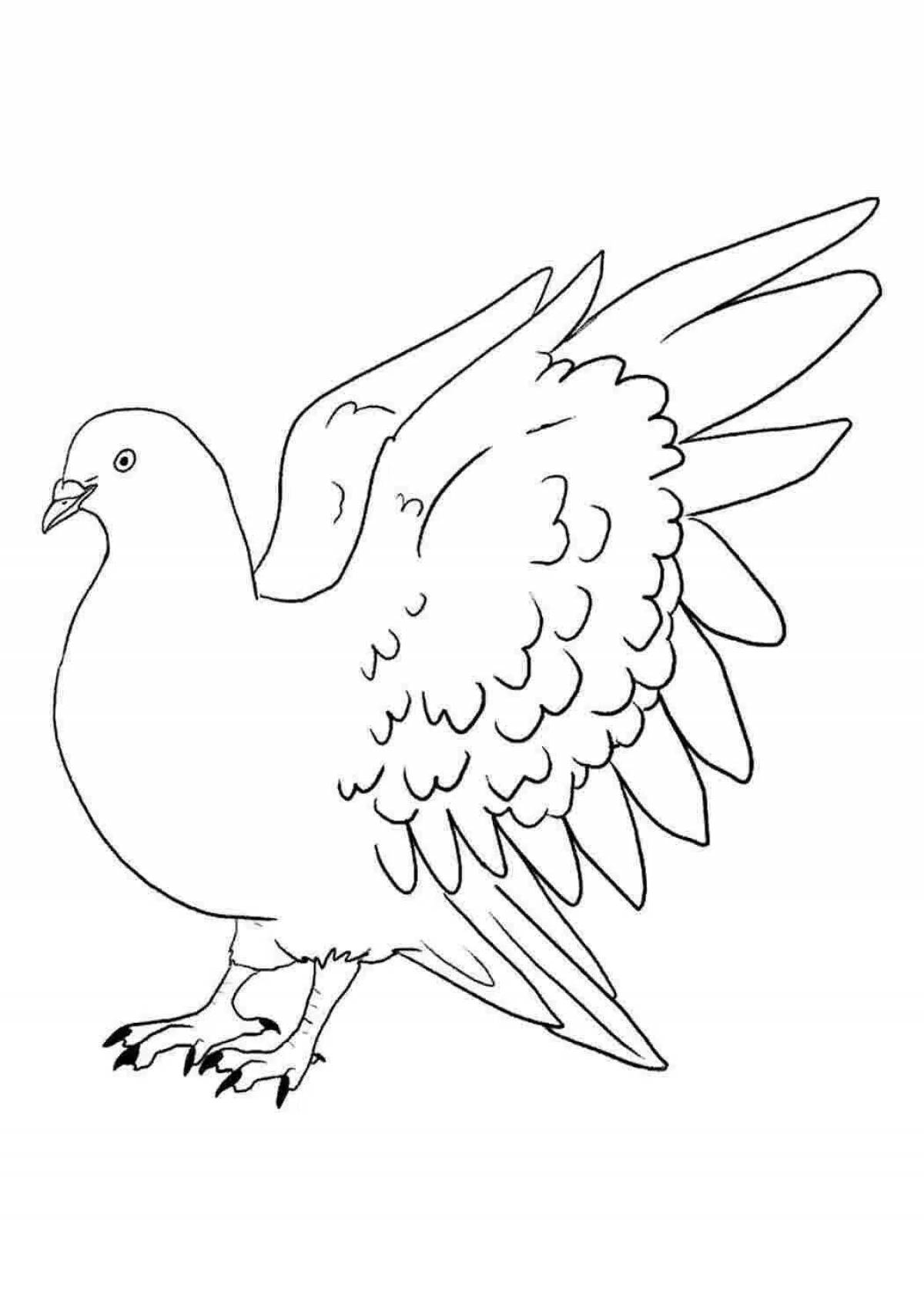 Exquisite white dove coloring page