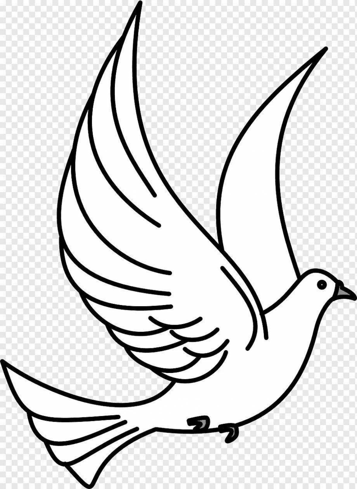 Раскраска божественный белый голубь